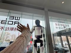 -TESLA 特斯拉(北京南四环中路特斯拉中心)