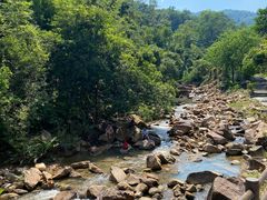 -广州白江湖森林公园