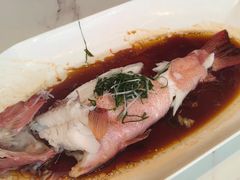 -浦江二号·独栋江景餐厅(滨江大道店)