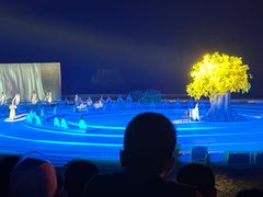 -鼎盛王朝康熙大典实景演出