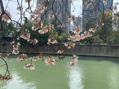 -红星桥(地铁站)
