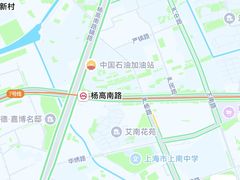 -杨高南路(地铁站)