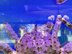 -好彩海鲜火锅饭店(银河百老汇店)