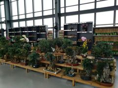 -南通洲际绿博园