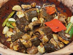 -天宝食坊·啫啫煲大排档(西华路店)