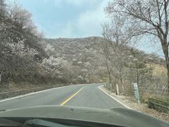 -妙峰山风景名胜区