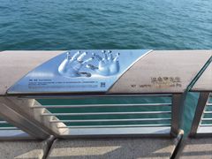 -星光大道