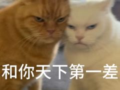 -临空皇冠假日酒店-西餐厅(首都机场店)