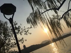 -西湖外事游船(花港观鱼码头)