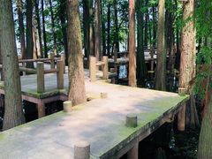 -东湖落雁景区