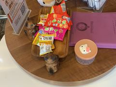 -宠爱国际动物医院·疑难骨科·心肾内科·皮肤科(太阳宫店)