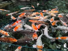 -北京海洋馆