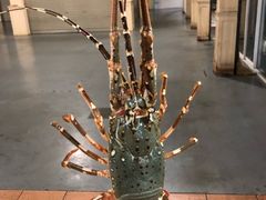 -班赞海鲜市场