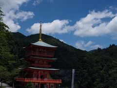 -兰拓相机租赁·维修·二手(上海店)