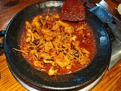 -红辣椒八爪鱼特色韩国料理