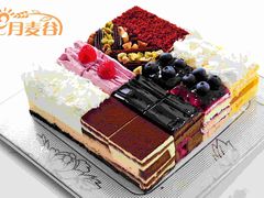 迷恋把口味-维尔纳斯·生日蛋糕·动物奶油冰淇淋蛋糕(六里桥店)