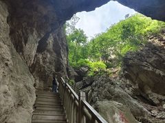 -大连天门山国家森林公园