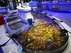 -澜悦港海鲜体验主题餐厅