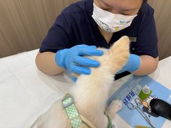 -申普宠物医院·眼科·心内科·影像科(普陀分院)