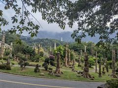 -深圳仙湖植物园