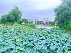 -丝绸小镇荻港古村