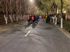 -长白岛森林公园