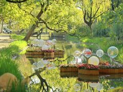 -上海共青森林公园