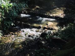 -法云安缦酒店
