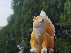-佛慧山