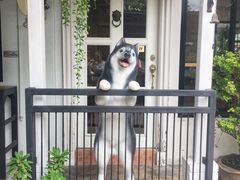-TrueLove @ Neverland (Husky Cafe)