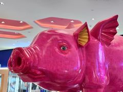-世纪金源购物中心(远大路店)