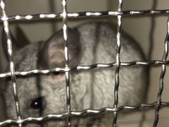 -雨林宠物医院 非犬猫异宠专科