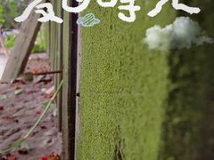 -西山风景区