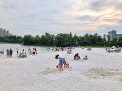 -大宁郁金香公园-停车场