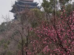 -杭州半山国家森林公园