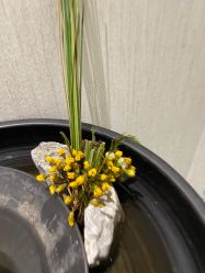 -铂诗玥医美
