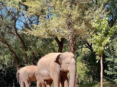 -北京野生动物园