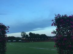 -崇明东平国家森林公园烧烤房车露营地