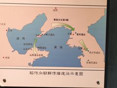 -旅顺博物馆