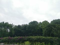 -龙头寺公园