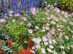 -深圳国际园林花卉博览园