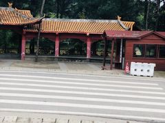 -铁山坪森林公园