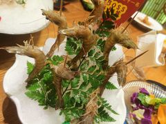 -尚海豆捞(乐虹坊店)