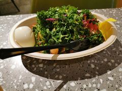 -油梨树AVOCADO TREE(嘉里中心店)