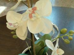 -南京双门楼宾馆(盐仓桥地铁站阅江楼店)