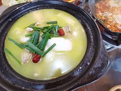 土鸡炖山药-张关合渣(朱家坳店)