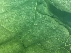 -白鹤梁水下博物馆