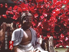 -碧露轩·大益茶体验馆(镇江路店)