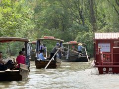 -溱湖国家湿地公园