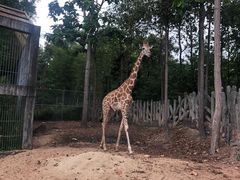 -清迈夜间动物园